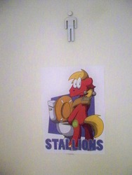 Size: 750x1000 | Tagged: artist needed, safe, big macintosh, earth pony, pony, galacon, g4, 2013, bipedal, convention, cute, floppy ears, frown, looking at you, looking back, male, sign, solo, stallion, toilet, wide eyes