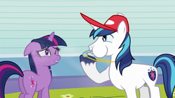 Size: 1024x576 | Tagged: safe, shining armor, twilight sparkle, g4, games ponies play, blowing, butt, cringing, plot, puffy cheeks, whistle, whistle necklace, whistling