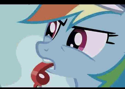 Size: 547x388 | Tagged: safe, screencap, rainbow dash, g4, may the best pet win, baseball cap, blowing, coach rainbow dash, female, hat, mouth hold, needs more jpeg, solo, whistle