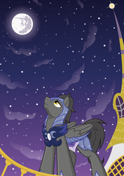 Size: 3360x4752 | Tagged: safe, artist:littlehybridshila, oc, oc only, pegasus, pony, armor, looking up, mare in the moon, moon, night, night guard, royal guard, solo, stars