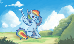 Size: 1008x605 | Tagged: safe, artist:dashleigh, rainbow dash, g4, female, pixiv, solo