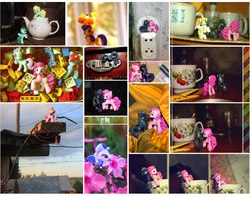 Size: 1280x1011 | Tagged: safe, artist:technaro, apple honey, breezie (g3), lilac hearts, magnet bolt, pinkie pie, rainbow flash (g4), sea swirl, seafoam, spring melody, sprinkle medley, pikachu, g4, 2014, apple family member, blind bag, crossover shipping, dan, dan pie, dan vs, heart, irl, kissing, lego, photo, pokémon, ponified, shipping, teacup, toy