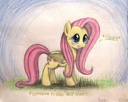 Size: 1003x797 | Tagged: safe, artist:thefriendlyelephant, fluttershy, pegasus, pony, g4, cute, female, grass, grin, smiling, solo, squee, traditional art