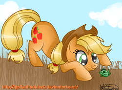 Size: 1024x761 | Tagged: dead source, safe, artist:lauren faust, artist:vixelzf, color edit, edit, applejack, earth pony, frog, pony, g4, colored, colored sketch, cowboy hat, curious, cute, face down ass up, female, field, frog inspector applejack, hat, mare, raised tail, solo