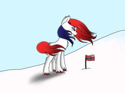 Size: 1024x768 | Tagged: safe, artist:maderpy, earth pony, pony, flag, flag pole, looking away, nation ponies, norway, simple background, smiling, smirk, snow, solo, unshorn fetlocks