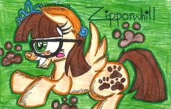 Size: 1663x1064 | Tagged: safe, artist:krazykari, zippoorwhill, g4, female, solo, traditional art