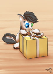 Size: 1240x1712 | Tagged: safe, artist:madthemike, oc, oc only, cat pony, original species, :o, box, eyes on the prize, fluffy, heterochromia, ponified, present, sitting, solo, surprise face, surprised, unshorn fetlocks, wide eyes