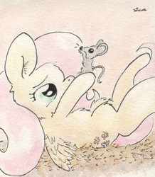 Size: 684x784 | Tagged: safe, artist:slightlyshade, fluttershy, mouse, pegasus, pony, g4, traditional art