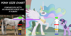 Size: 885x446 | Tagged: safe, princess celestia, twilight sparkle, horse, human, g4, /mlp/, 4chan, comic sans, comparison, height, hoers, irl, photo, size chart, size comparison