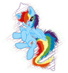 Size: 1200x1300 | Tagged: safe, artist:yooyfull, rainbow dash, pegasus, pony, g4, ear fluff, female, fluffy, solo