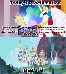 Size: 1021x1149 | Tagged: safe, princess celestia, g4, celestia's proclamation, exploitable meme, meme