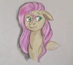 Size: 850x751 | Tagged: safe, artist:breathe-a-little, fluttershy, g4, crying, female, solo, traditional art