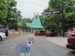 Size: 1277x958 | Tagged: safe, maud pie, g4, irl, lookout mountain, photo, ponies in real life, rock city