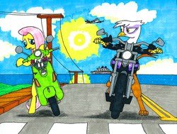 Size: 2121x1602 | Tagged: dead source, safe, artist:urbancowboy117, angel bunny, fluttershy, gilda, griffon, g4, boat, clothes, cruise ship, flower, leather jacket, moped, motorcycle, ocean, plane, road, scooter, sidewalk, sun, traditional art