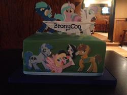 Size: 1024x768 | Tagged: safe, oc, oc only, bronycon, 2014, cake, charm city cakes, convention, customized toy, food, food art, irl, old banner, photo