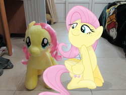 Size: 4608x3456 | Tagged: safe, artist:guillex3, artist:missbeigepony, fluttershy, pegasus, pony, g4, bed, blanket, build-a-bear, comparison, female, floor, fluttershy plushie, irl, mare, photo, plushie, ponies in real life, self plushidox, self ponidox, vector