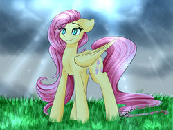 Size: 1024x768 | Tagged: safe, artist:sugarberry, fluttershy, g4, female, floppy ears, solo