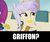 Size: 1216x1024 | Tagged: safe, edit, edited screencap, screencap, cherry crash, gilda, mystery mint, griffon, equestria girls, g4, my little pony equestria girls: rainbow rocks, /mlp/, background human, griffon cherry crash