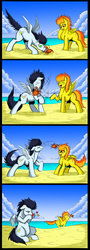 Size: 800x2227 | Tagged: safe, artist:exelzior, soarin', spitfire, crab, pegasus, pony, g4, beach, chest fluff, comic, female, floppy ears, fluffy, karma, leg fluff, male, mare, nose pinch, nudity, old cutie mark, pinch, sheath, sitting, stallion