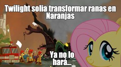 Size: 960x533 | Tagged: safe, fluttershy, g4, disaster girl, female, meme, solo, spanish, translated in the comments