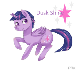 Size: 550x500 | Tagged: safe, artist:prk, twilight sparkle, alicorn, pony, g4, dusk shine, pixiv, prince dusk, rule 63, solo, twilight sparkle (alicorn)