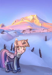 Size: 693x990 | Tagged: safe, artist:mewball, twilight sparkle, alicorn, pony, g4, boots, clothes, eye clipping through hair, female, jacket, mare, mountain, open mouth, scarf, smiling, snow, solo, twilight sparkle (alicorn)