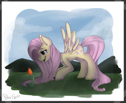 Size: 1024x838 | Tagged: safe, artist:drawing-heart, fluttershy, g4, female, flower, solo, tulip