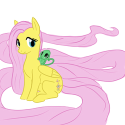 Size: 600x600 | Tagged: safe, fluttershy, g4, female, solo