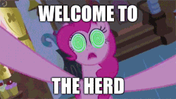 Size: 500x281 | Tagged: safe, edit, edited screencap, screencap, pinkie pie, bridle gossip, g4, animated, artifact, female, reversed, solo, swirly eyes, welcome to the herd