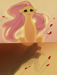 Size: 850x1130 | Tagged: safe, artist:thecuriousfool, discord, fluttershy, g4, beautiful, close-up, comic, crying, female, hasbro, male, petals, rose petals, ship:discoshy, shipping, snaggletooth, straight