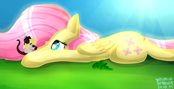 Size: 626x321 | Tagged: safe, artist:mimbyarts, fluttershy, g4, female, solo