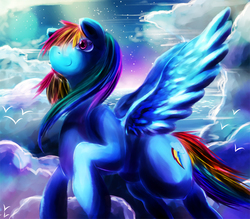 Size: 800x700 | Tagged: safe, artist:c.d.i., rainbow dash, g4, female, solo