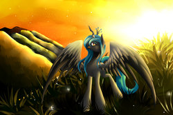 Size: 1500x1000 | Tagged: safe, artist:moeru789, queen chrysalis, g4, female, grass, open mouth, smiling, solo, spread wings, sunrise