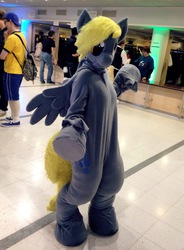 Size: 1175x1600 | Tagged: safe, artist:tinderboxer, derpy hooves, human, g4, cosplay, fursuit, irl, irl human, photo