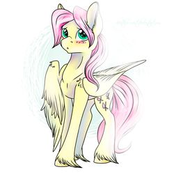 Size: 2000x2000 | Tagged: safe, artist:heather-west, fluttershy, g4, blushing, butterscotch, high res, rule 63, solo, unshorn fetlocks