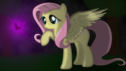 Size: 1920x1080 | Tagged: safe, artist:izeer, fluttershy, butterfly, g4, female, night, solo