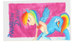 Size: 489x298 | Tagged: safe, artist:shauntinasha, rainbow dash, centaur, g4