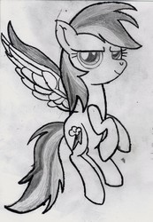 Size: 2008x2909 | Tagged: safe, artist:ocredan, rainbow dash, g4, female, high res, monochrome, solo, traditional art