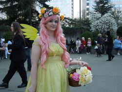 Size: 960x720 | Tagged: safe, fluttershy, human, g4, cosplay, irl, irl human, photo