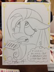 Size: 768x1024 | Tagged: safe, artist:andy price, fluttershy, g4, female, litterbox, solo, traditional art, word of price