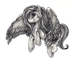 Size: 800x678 | Tagged: safe, artist:catussnake, fluttershy, g4, female, solo, traditional art