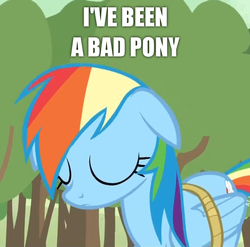 Size: 666x658 | Tagged: source needed, useless source url, safe, screencap, rainbow dash, g4, image macro, meme, rope