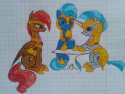 Size: 2048x1536 | Tagged: safe, artist:petunedrop, oc, oc:rainstorm, oc:scrollpatch, oc:skylight, royal guard, traditional art