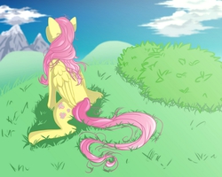 Size: 1200x960 | Tagged: safe, artist:badluckalice, fluttershy, g4, back, female, grass, messy mane, mountain, sitting, sky, solo