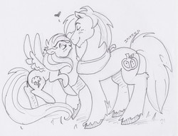 Size: 600x459 | Tagged: safe, artist:inkeed, big macintosh, rainbow dash, earth pony, pony, bronycon, g4, boop, commission, eyes closed, fluffy, heart, inked, lineart, male, monochrome, noseboop, nuzzling, raised hoof, ship:rainbowmac, shipping, size difference, smiling, smoldash, spread wings, stallion, straight, traditional art, unshorn fetlocks