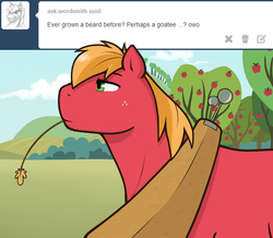 Size: 500x436 | Tagged: safe, artist:redhotkick, big macintosh, earth pony, pony, g4, male, solo, stallion