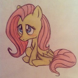 Size: 640x640 | Tagged: safe, artist:dux, fluttershy, g4, blushing, female, sitting, solo, traditional art
