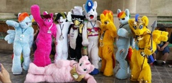 Size: 960x464 | Tagged: safe, berry punch, berryshine, flash sentry, rainbow dash, shining armor, spitfire, oc, oc:fluffle puff, oc:trance sequence, griffon, human, pony, bronycon, g4, 2014, fursuit, group photo, irl, irl human, photo, royal guard