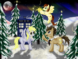 Size: 2224x1700 | Tagged: safe, artist:starletnightwind, derpy hooves, doctor whooves, time turner, oc, pegasus, pony, g4, aurora borealis, doctor who, female, mare, moon, night, raised hoof, snow, tardis