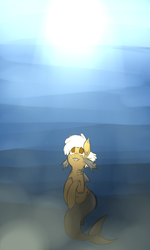 Size: 600x1000 | Tagged: safe, artist:cottoncloudy, oc, oc only, oc:cotton cloudy, fish, mermaid, merpony, original species, shark pony, blushing, bright, crepuscular rays, female, fish tail, gills, looking up, ocean, rule 63, shark tail, solo, sun, sunlight, tail, underwater, water, white mane